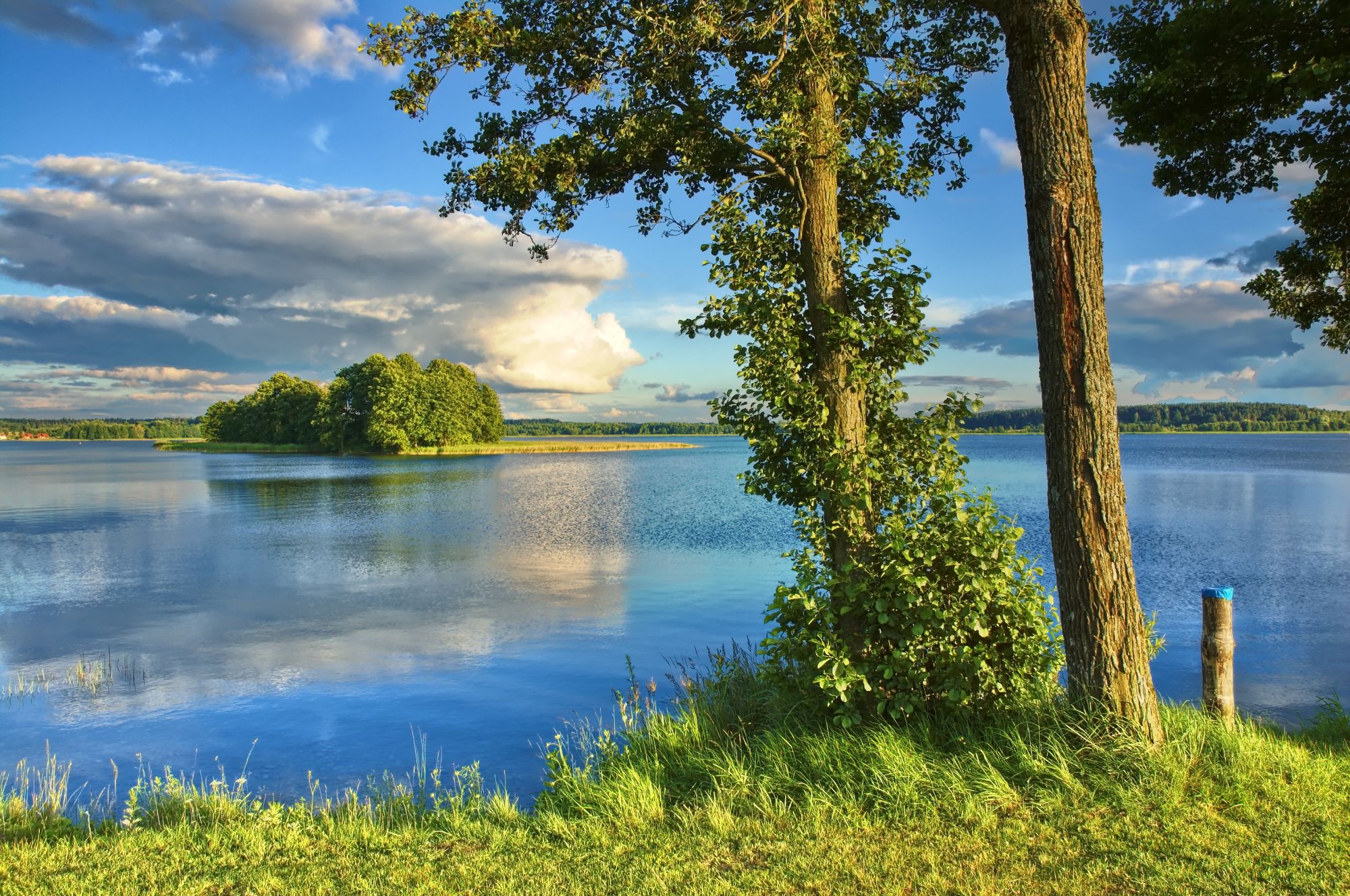 Mazury