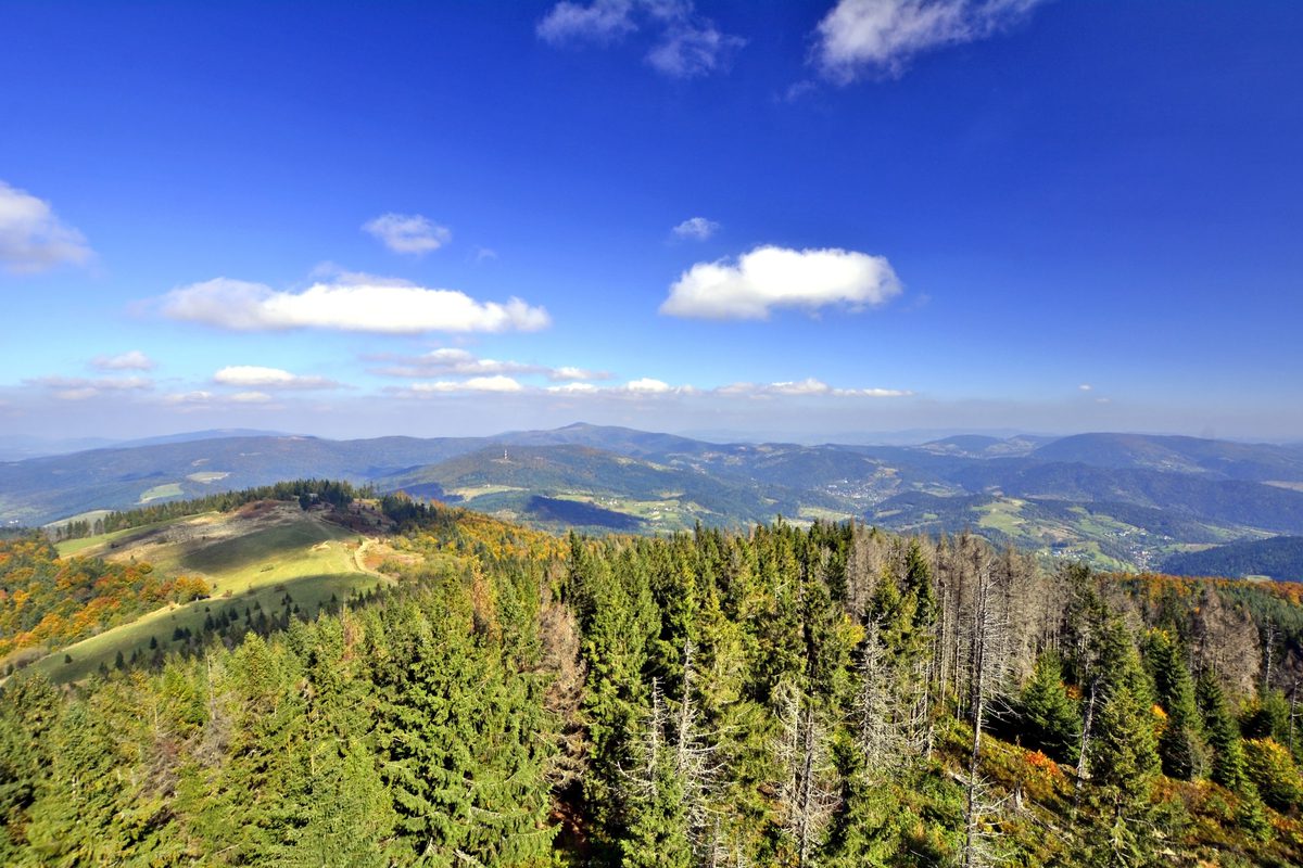 Beskid Śląski: noclegi ze śniadaniami w Góral Spa&Wellness w Szczyrku już od 186 PLN/pokój