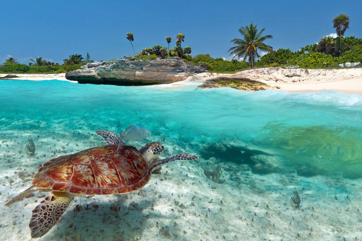 Wielkanoc na Jukatanie: tygodniowa wycieczka za 2841 PLN. Loty do Cancun z Warszawy + 4* hotel