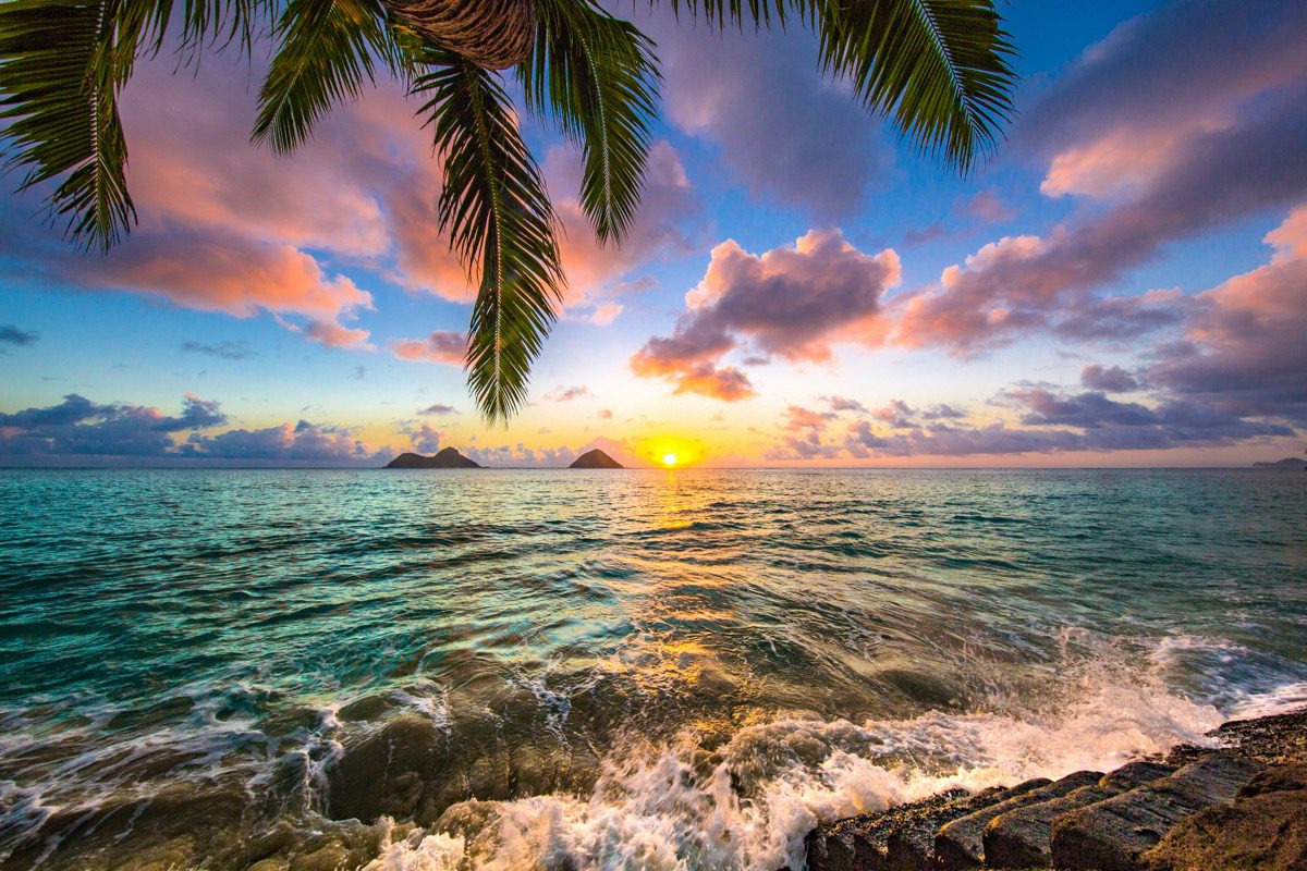 Hawaje