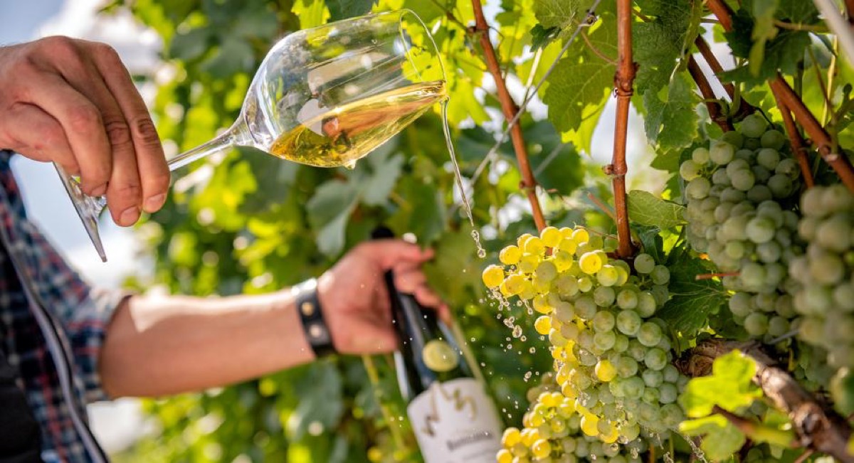 Wino & Spa w Górach Sowich! Noclegi z wyżywieniem w 3* hotelu Niemcza za 279 PLN/pokój