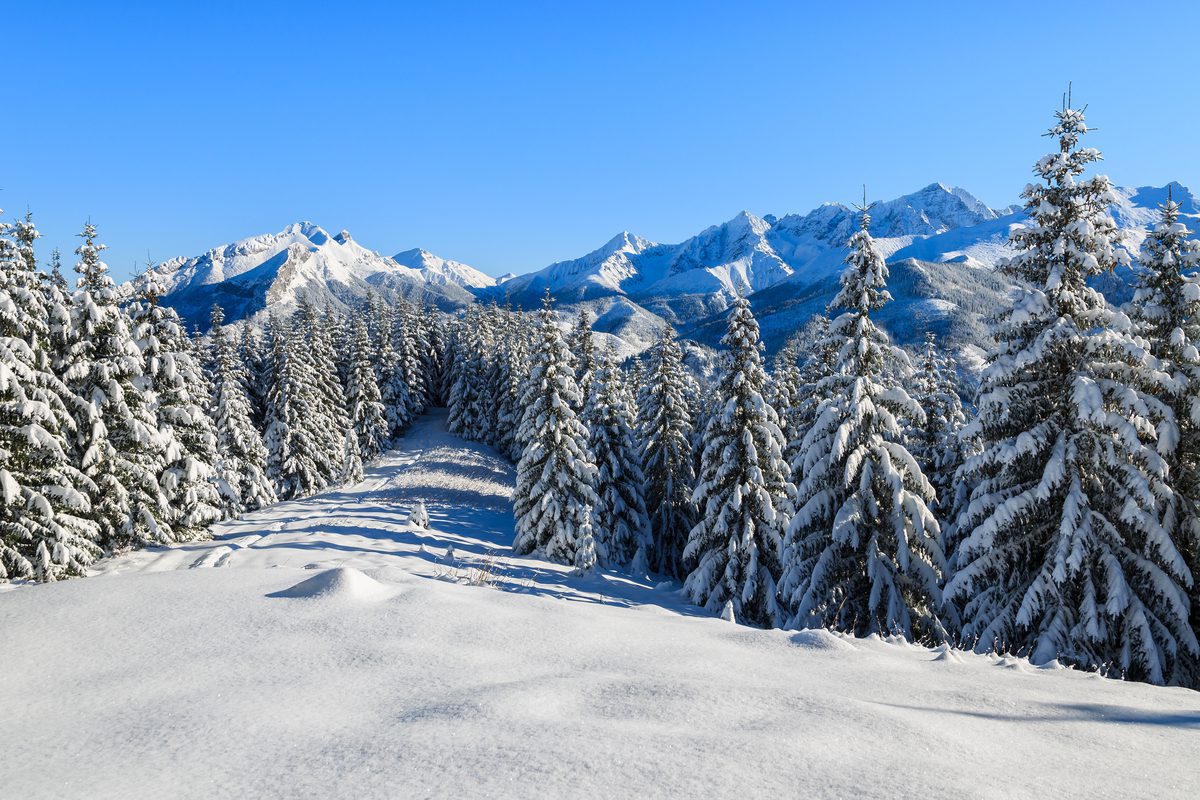 Walentynki w górach: zbiór noclegów w Tatrach, Karkonoszach i Beskidach od 124 PLN/pokój