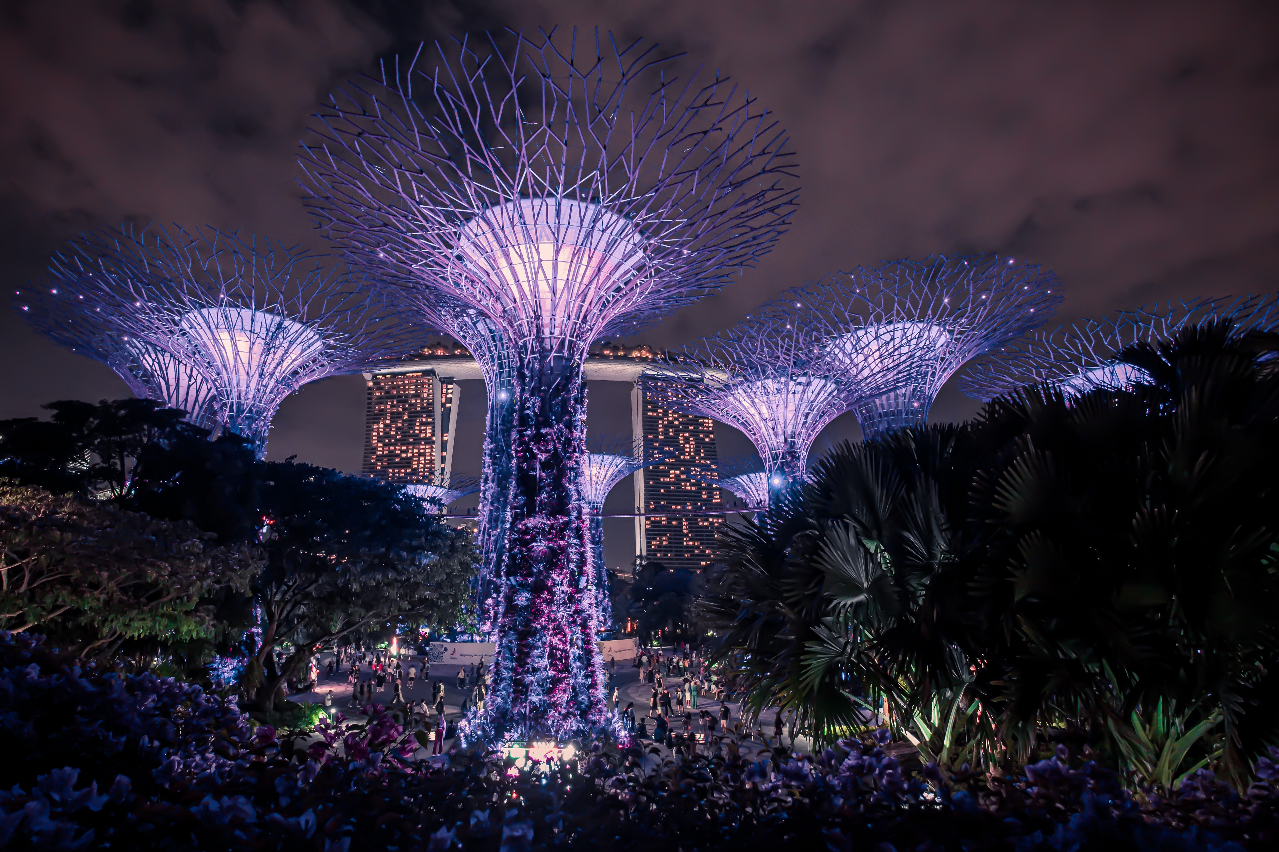 singapur gardens by the bay