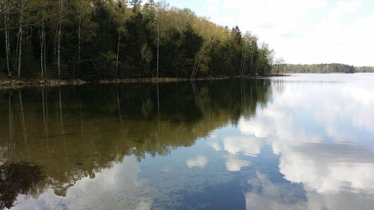 Wakacje w Polsce na łonie przyrody: zbiór noclegów blisko zieleni, z dala od zgiełku od 100 PLN/pokój