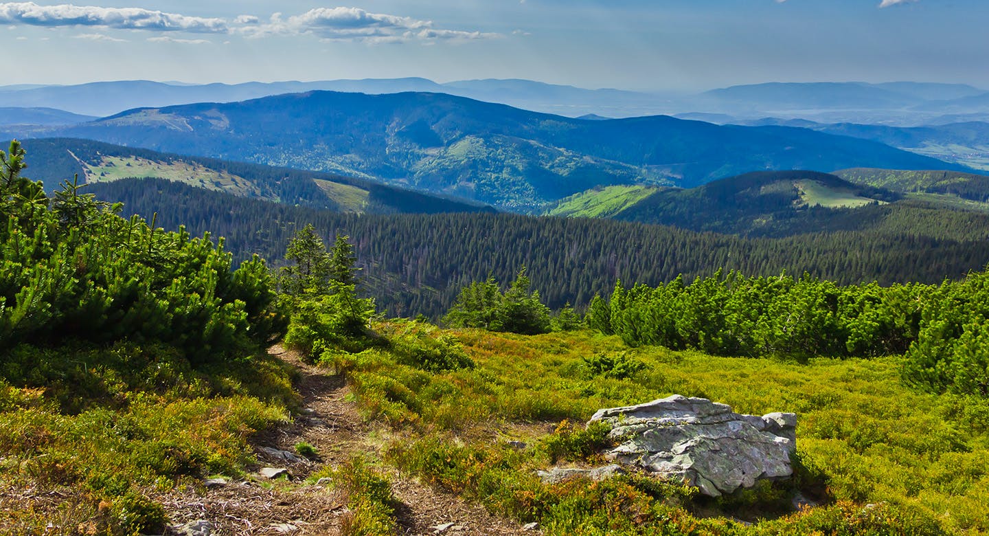Lato i wakacje w Beskidzie Żywieckim: noclegi z wyżywieniem w Dworku Szwajcaria od 288 PLN/pokój