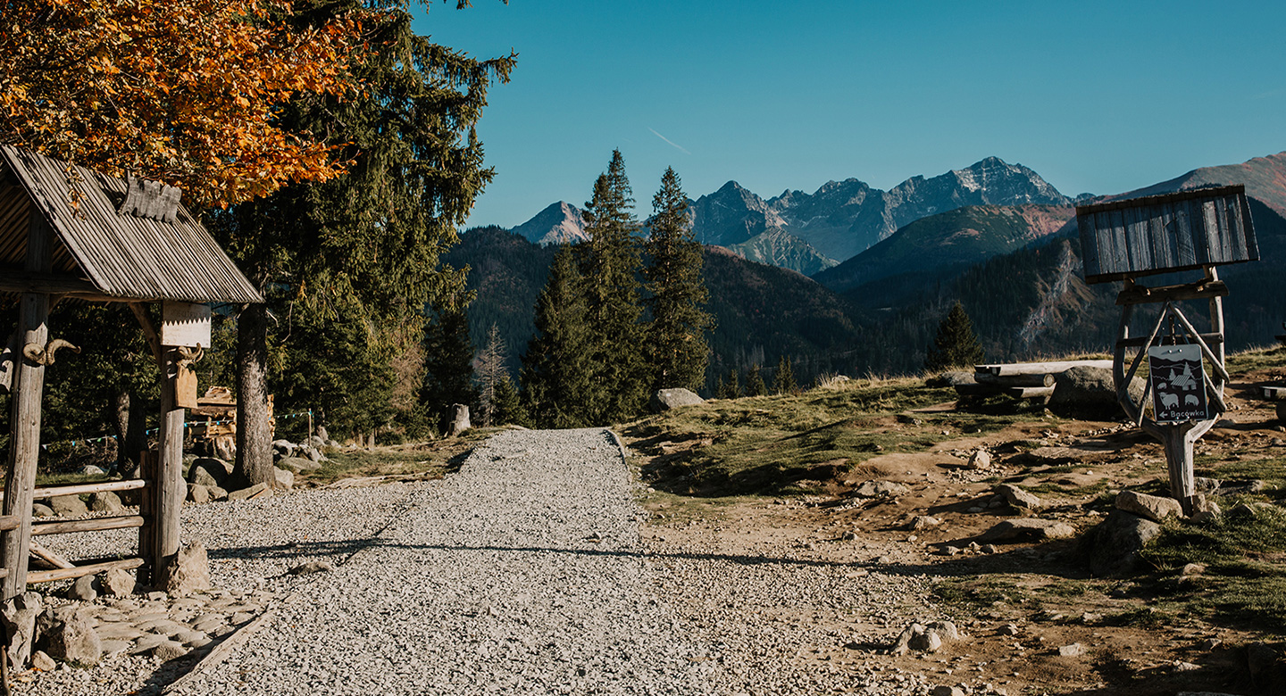 Rewita Zakopane - Kościelisko
