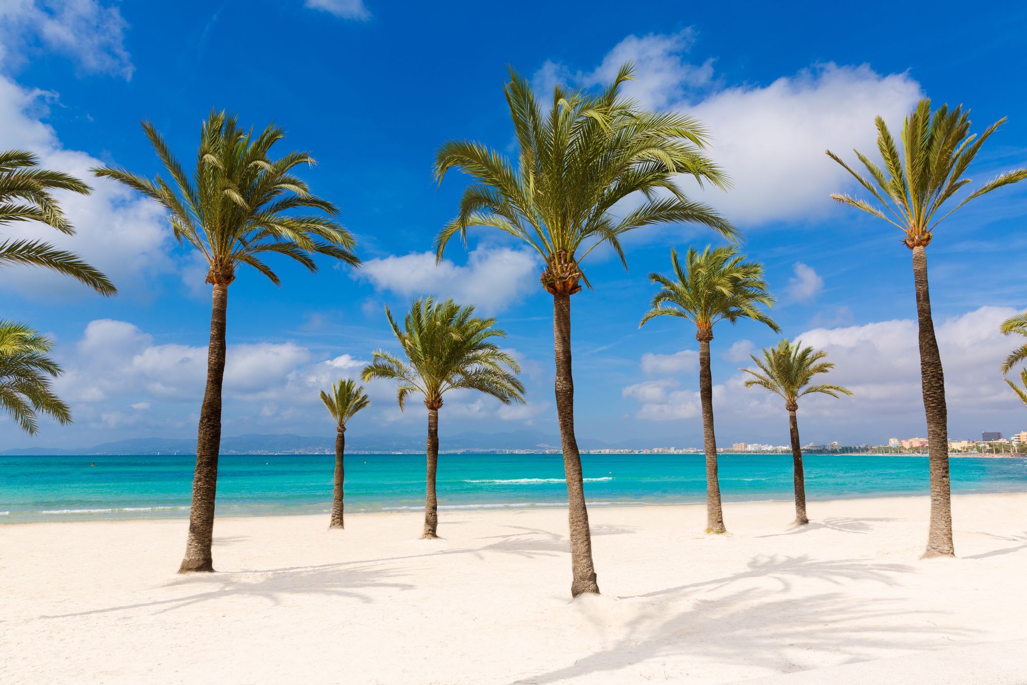 Wakacje na Balearach: all inclusive na Majorce za 2189 PLN. Wylot z Wrocławia