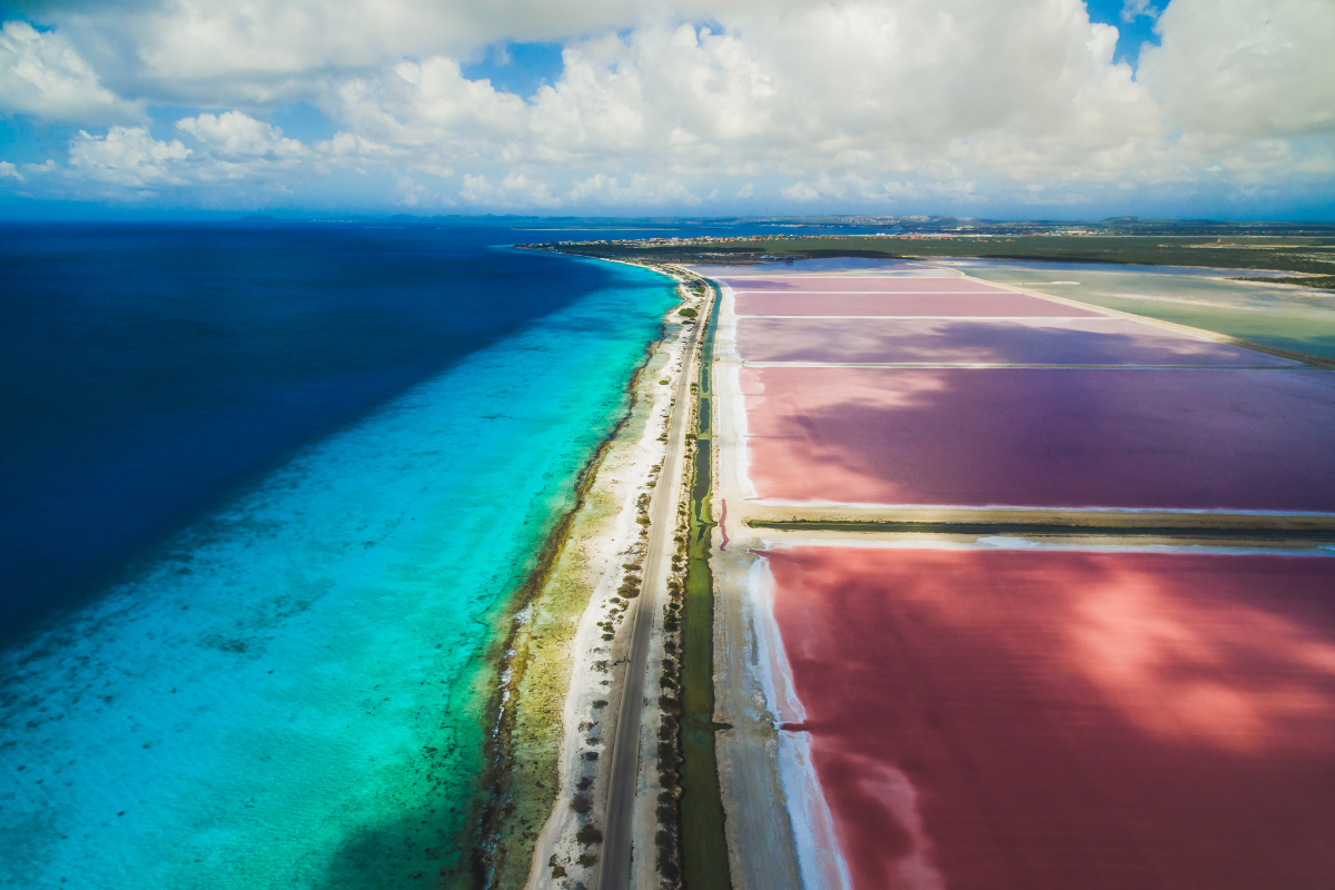 Bonaire jesienią za 3781 PLN. Loty z Warszawy + hotel w karaibskim stylu