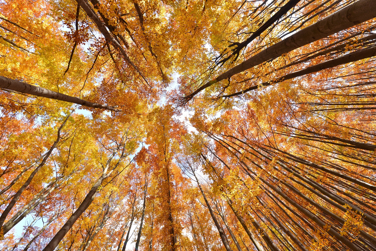 Złota polska jesień: zbiór noclegów na południu kraju już od 112 PLN/noc