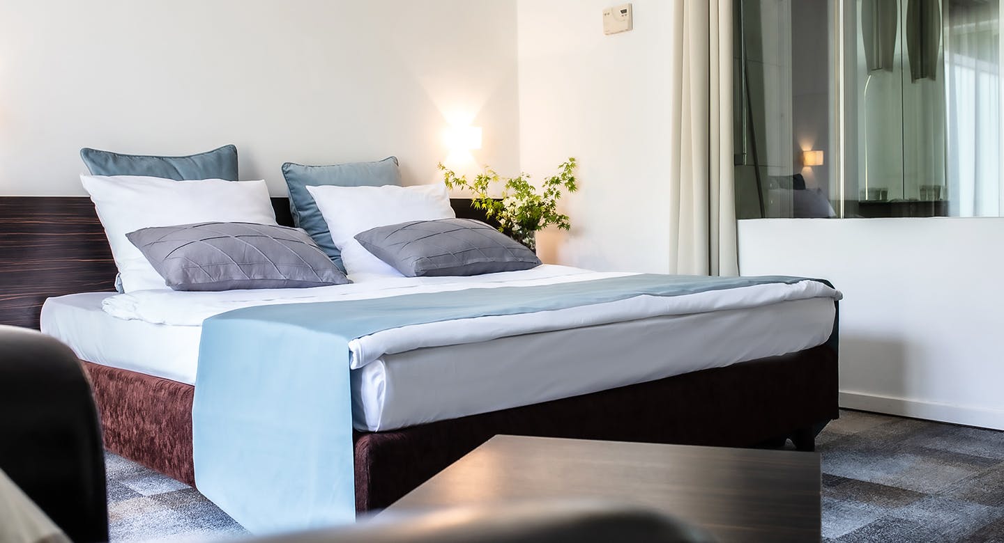 Hotel Terme Sveti Martin