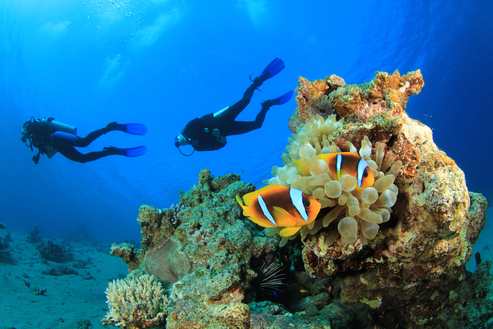 Tanie wczasy w Egipcie: 7 dni w 4* hotelu z all inclusive od 1590 PLN. Wyloty last minute z 4 miast