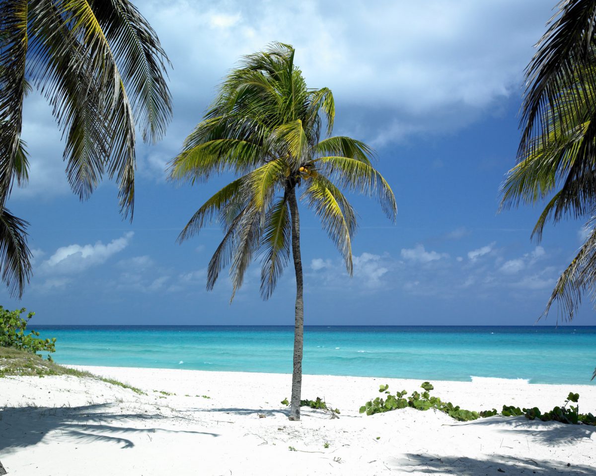Święta na Kubie: all inclusive w 4* hotelu za 3509 PLN. Dreamlinerem z Warszawy