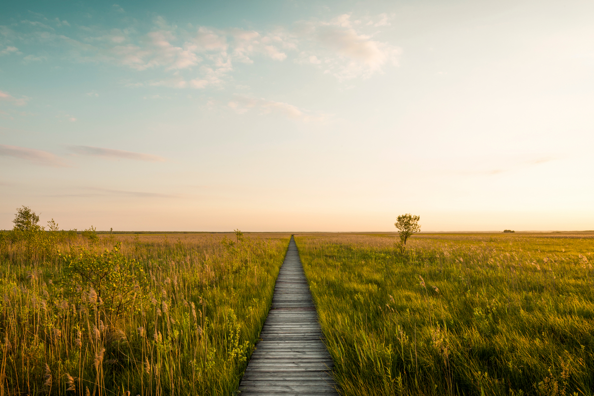 Zbiór weekendowych (sobota-niedziela) noclegów nad Biebrzą już od 145 PLN/noc