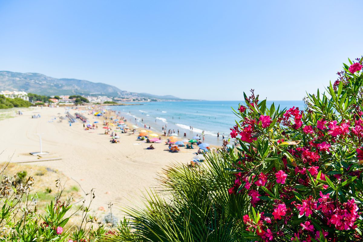Lato w Hiszpanii za 905 PLN. Loty na Costa del Azahar z Katowic i noclegi w hotelu