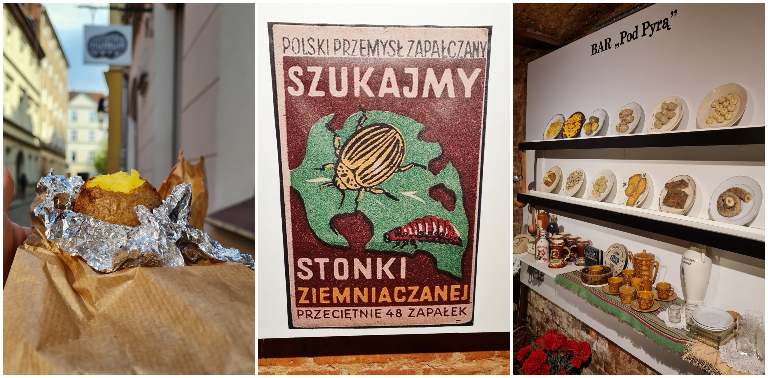 poznańskie muzeum pyry