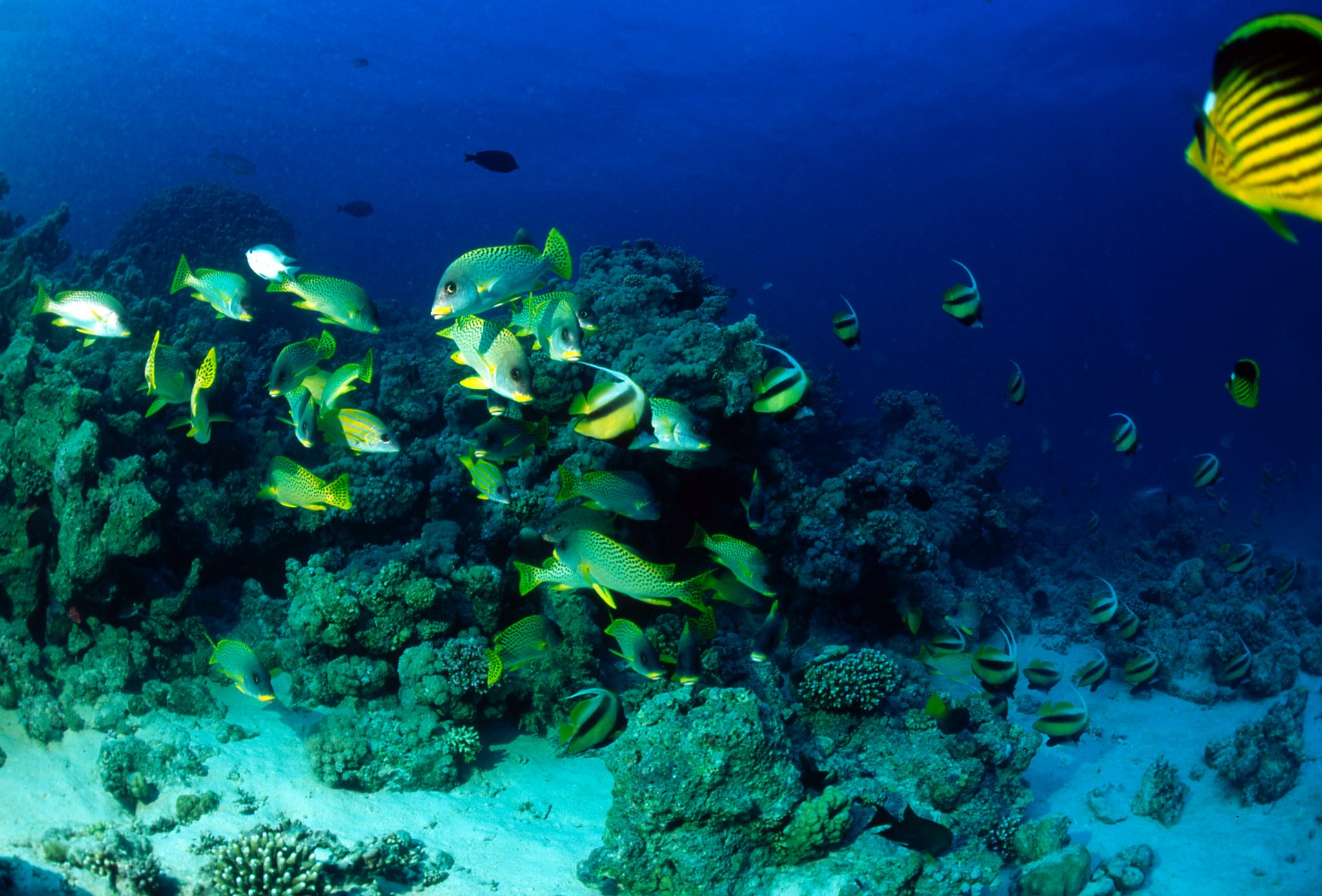 Tygodniowe all inclusive w 4* hotelu w Egipcie od 1727 PLN. Wyloty z 5 miast