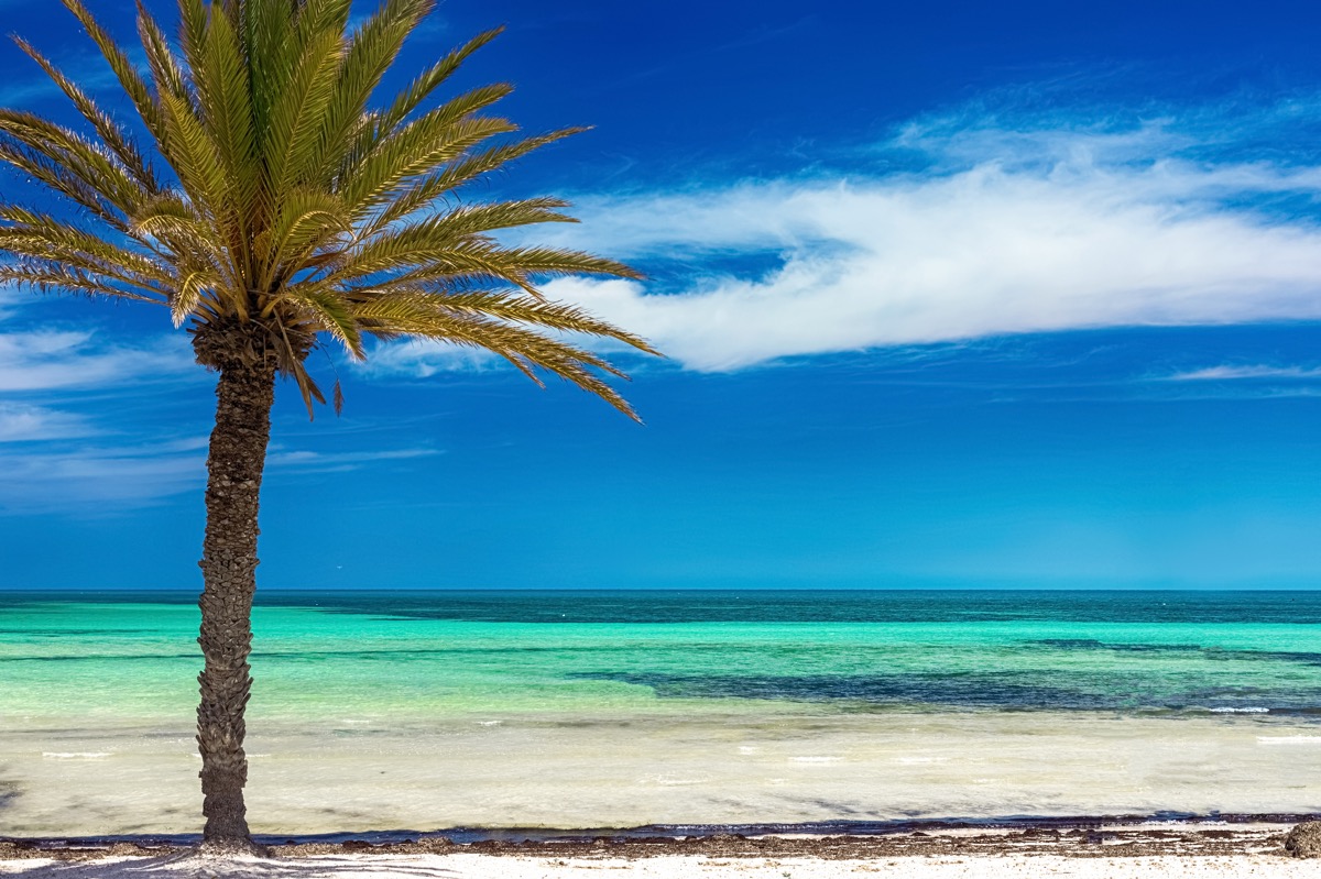 Wczasy w Tunezji: all inclusive w znakomitym 4* hotelu od 1783 PLN (wyloty z 2 miast)