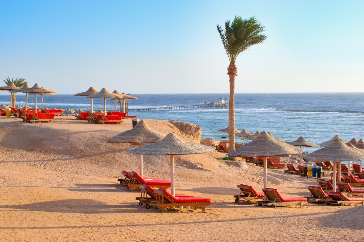 Egipt na wypasie: all inclusive w znakomitym 5* hotelu za 2772 PLN. Wyloty z 2 miast