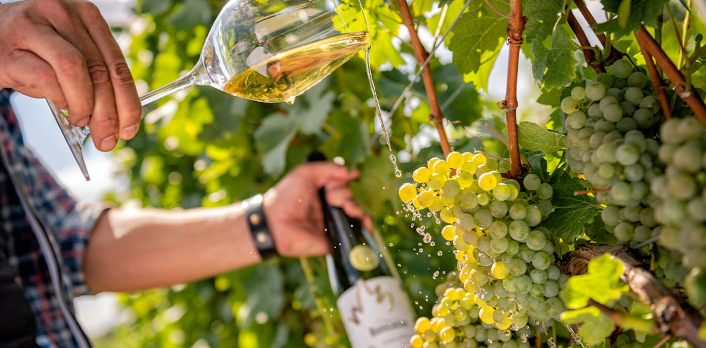 Góry Sowie: Niemcza Wino & Spa ze śniadaniami od 389 PLN/pokój. Również na wakacje!