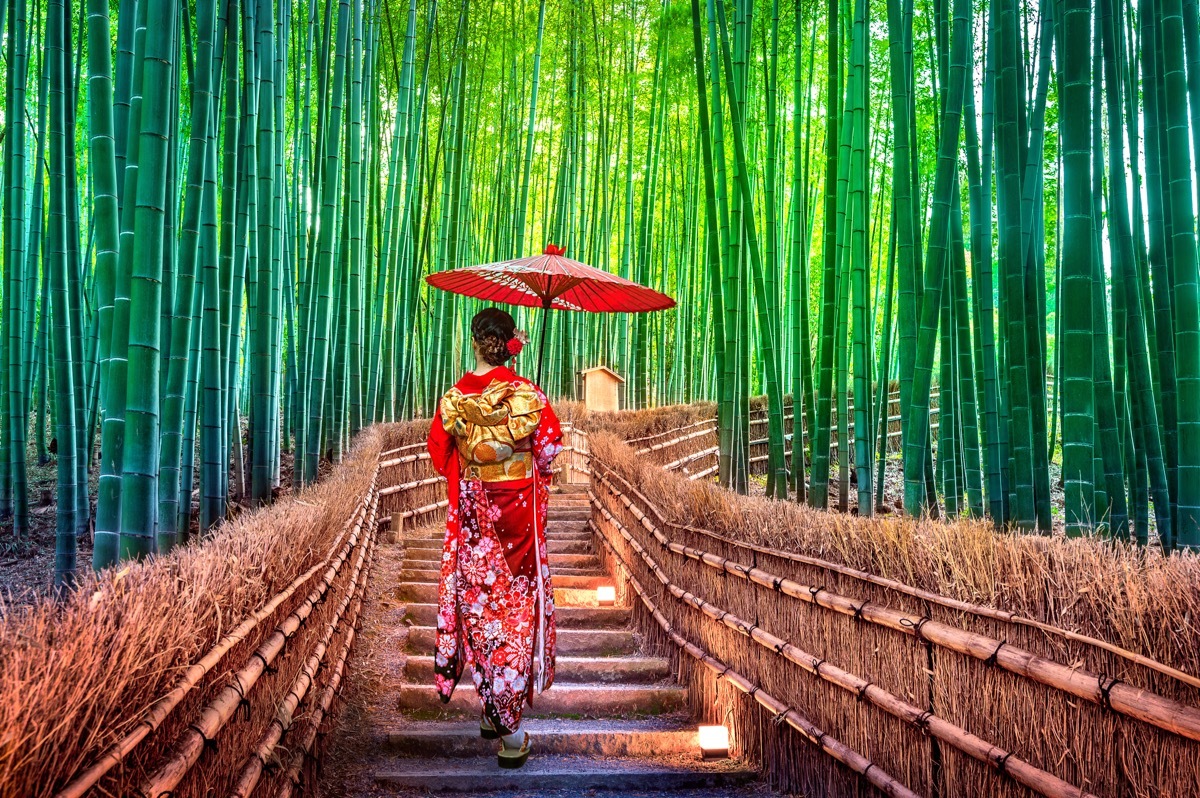 Poleć do Japonii z Warszawy 🇯🇵🍜 Tokio, Fukuoka, Sapporo i Osaka od 2813 PLN 🏯 Bilety z bagażem 🧳
