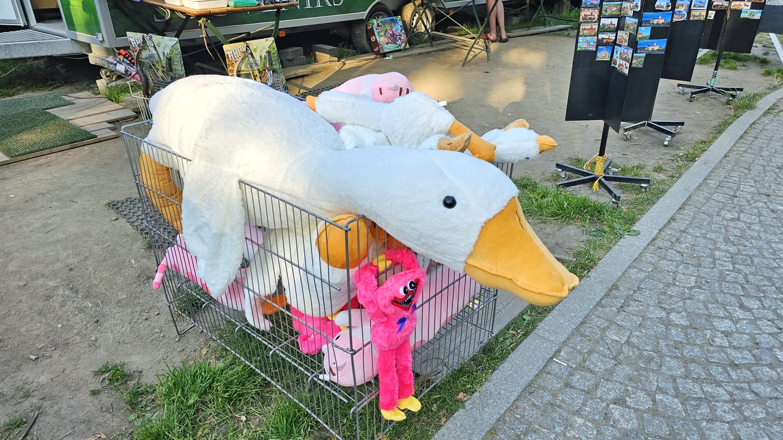 Gęsi to wakacyjny hit, a ludzie kupują je na potęgę. UOKiK apeluje o ostrożność!