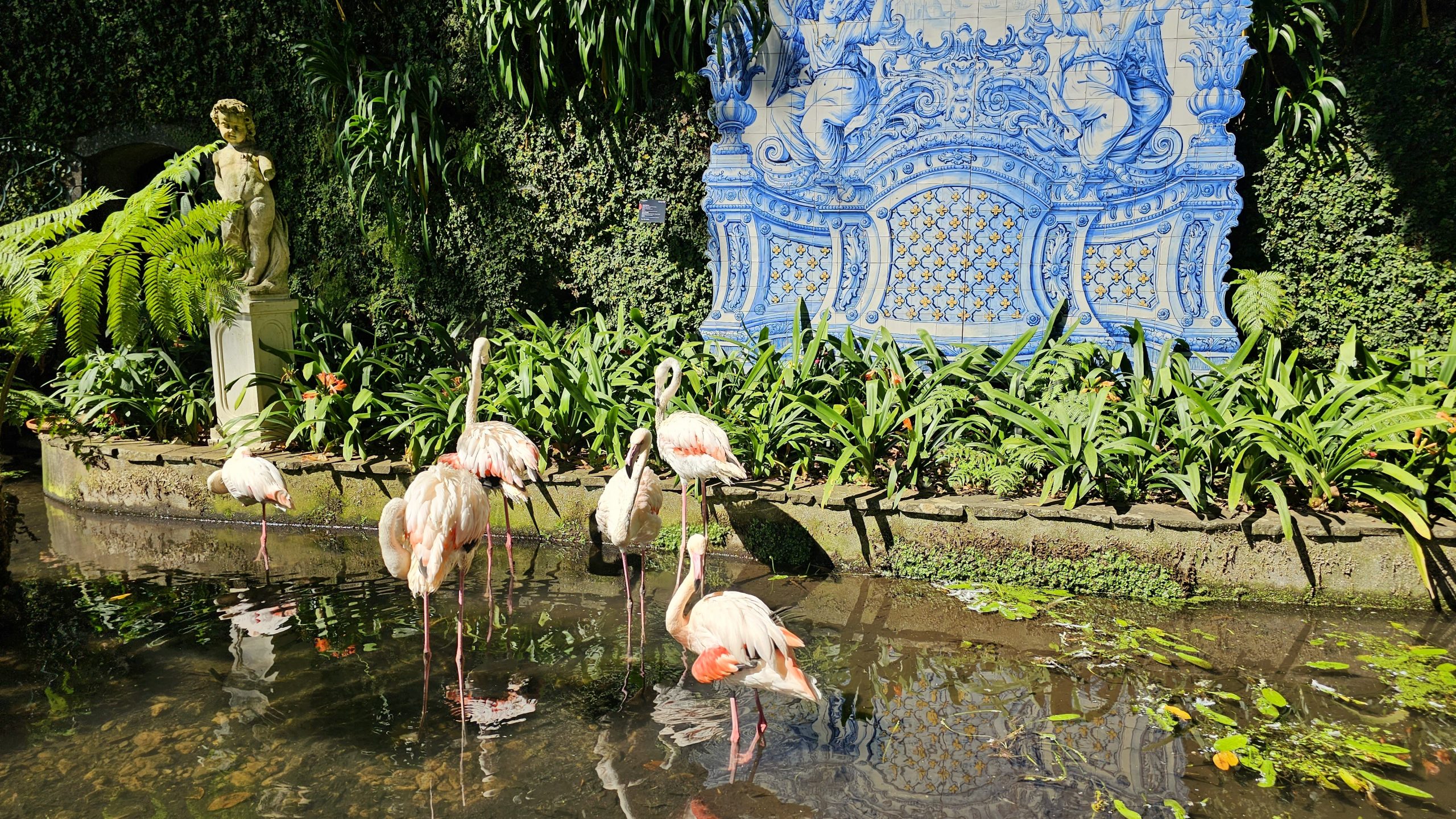 Polacy pokochali tę wyspę. Spektakularna natura, idealna pogoda i jedyny taki przysmak na świecie!