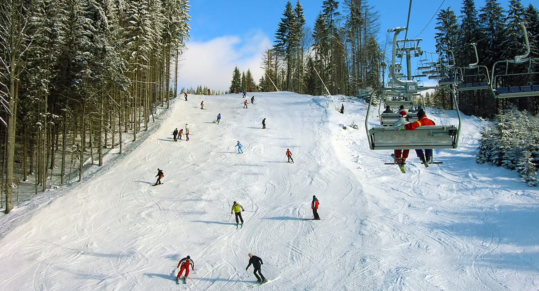 Polanica-Zdrój: hotel Medical Sensus z wyżywieniem od 216 PLN/pokój