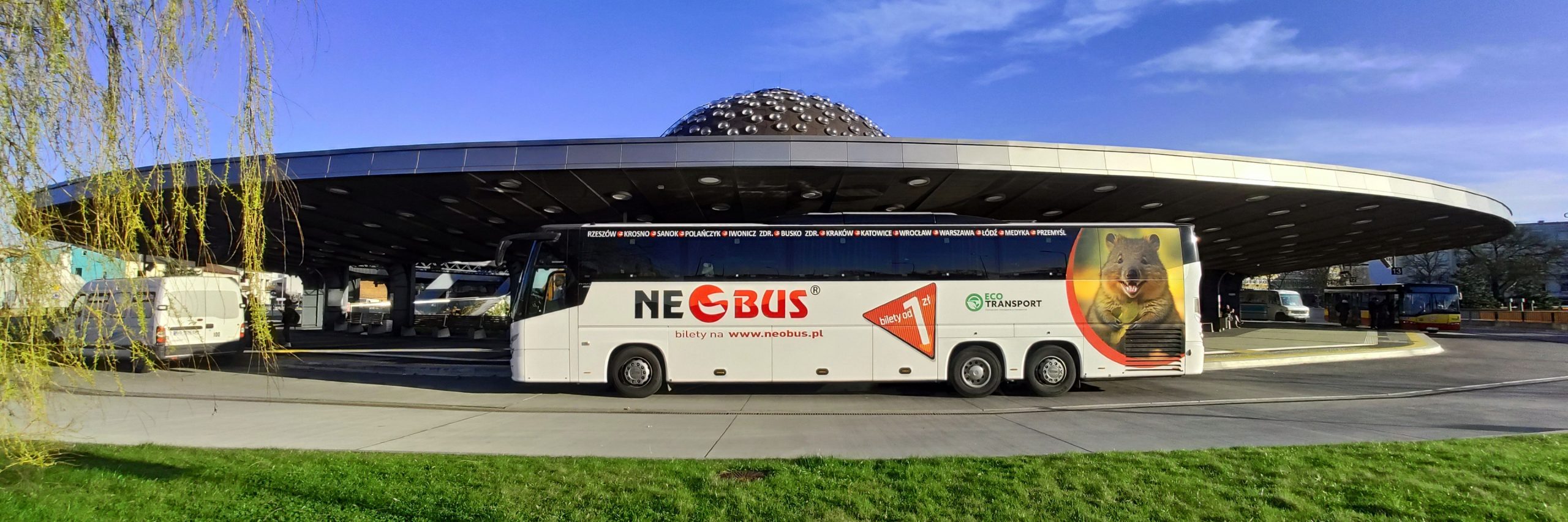 NEOBUS: pula tanich biletów na wakacje do wielu miast od 1 PLN