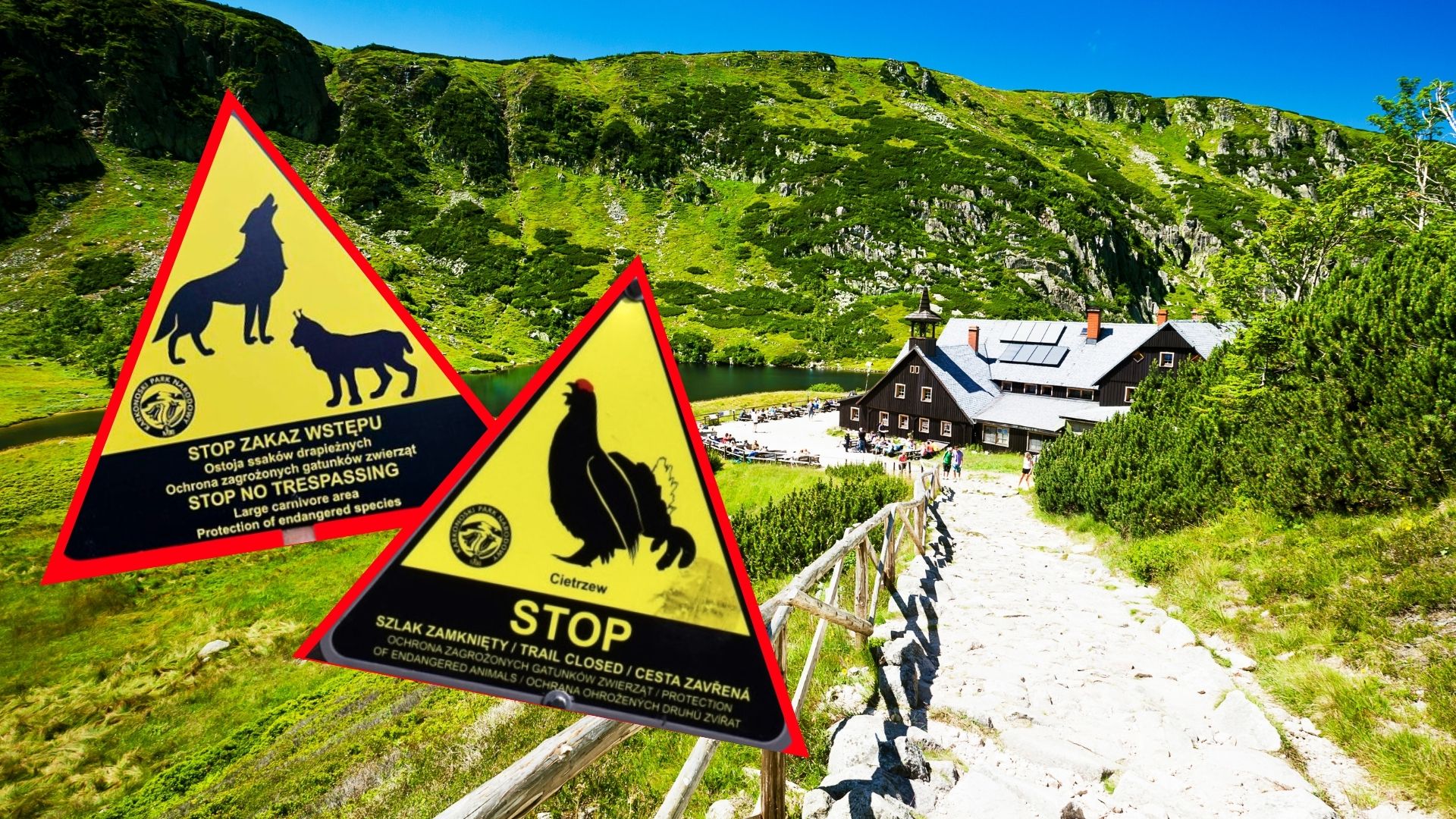 Park Narodowy apeluje do turystów! „Uszanujmy to i dajmy im czas”