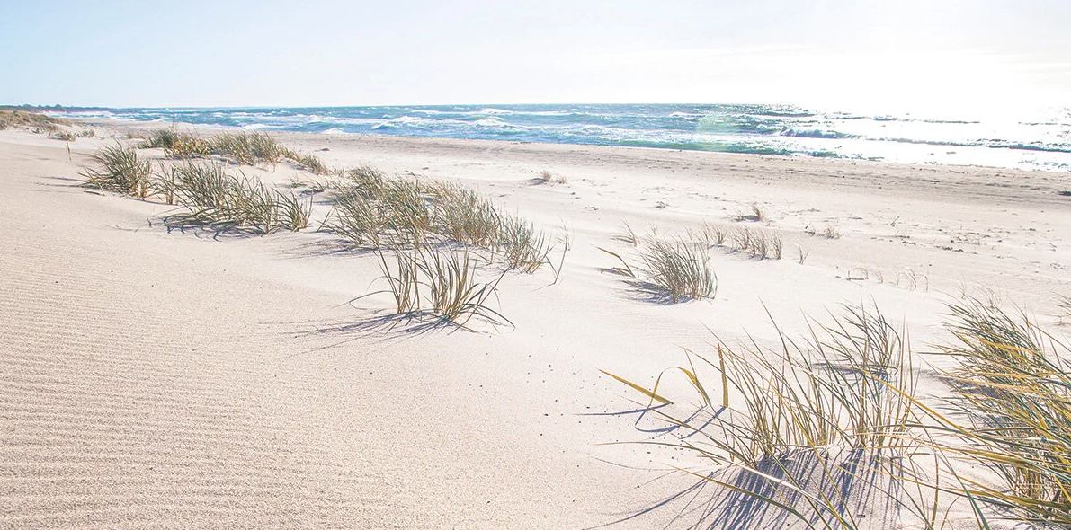 Wypoczynek nad Bałtykiem: Victoria SPA z wliczonym wyżywieniem od 359 PLN/pokój