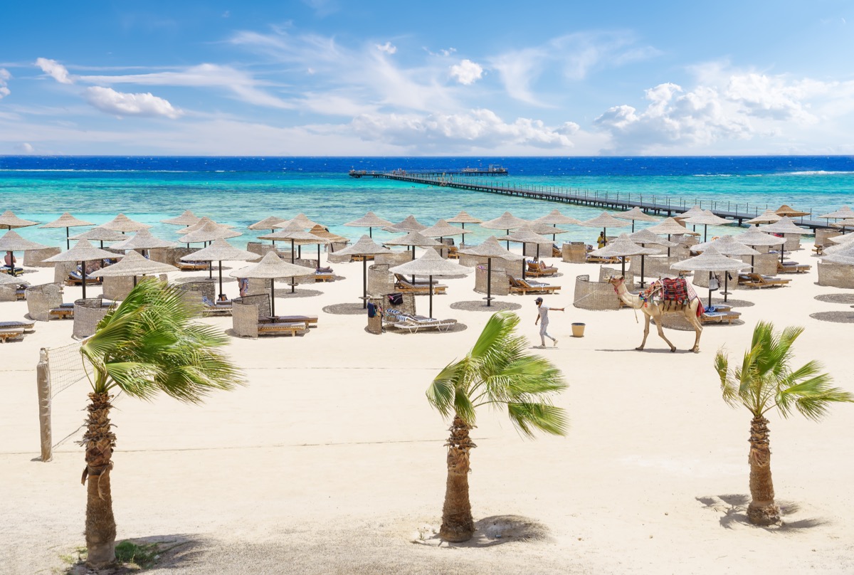 Lato w Egipcie: 7 dni z all inclusive w 5* Novotel Marsa Alam od 2543 PLN. Wyloty z 4 miast