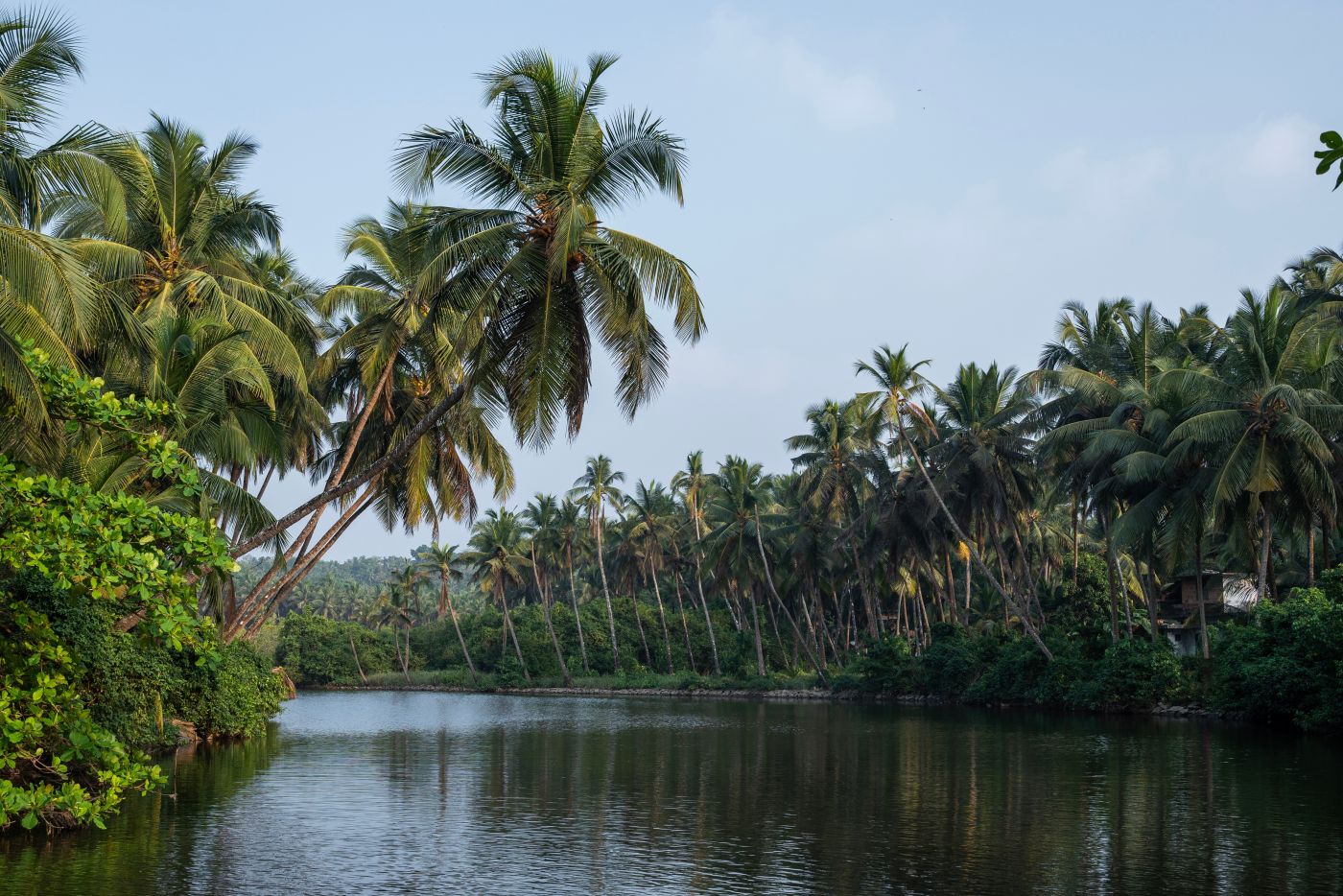 Egzotyczna Kerala: loty do Koczin z Krakowa od 2374 PLN. Również na ferie