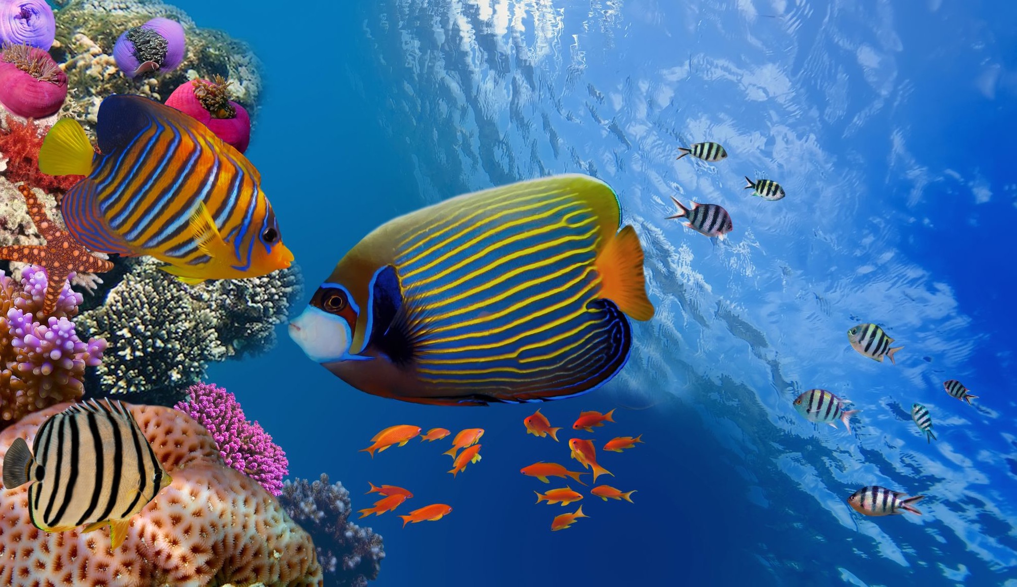 Lato w Egipcie: tydzień w 5* hotelu z all inclusive od 2168 PLN. Wyloty z 4 miast