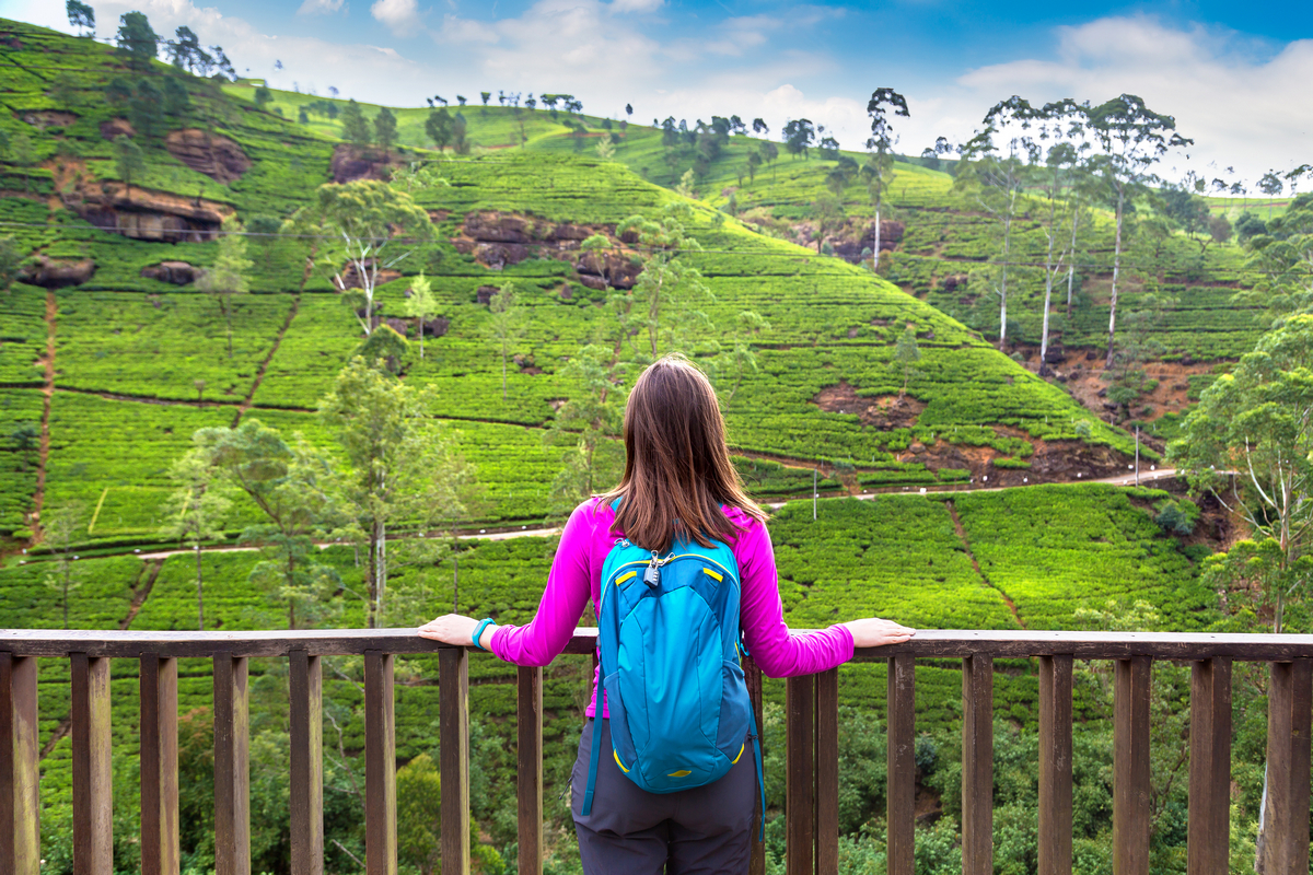 Mega! Sri Lanka i ZEA w jednej podróży za 1362 PLN. Wyjazd z Krakowa dla wszystkich