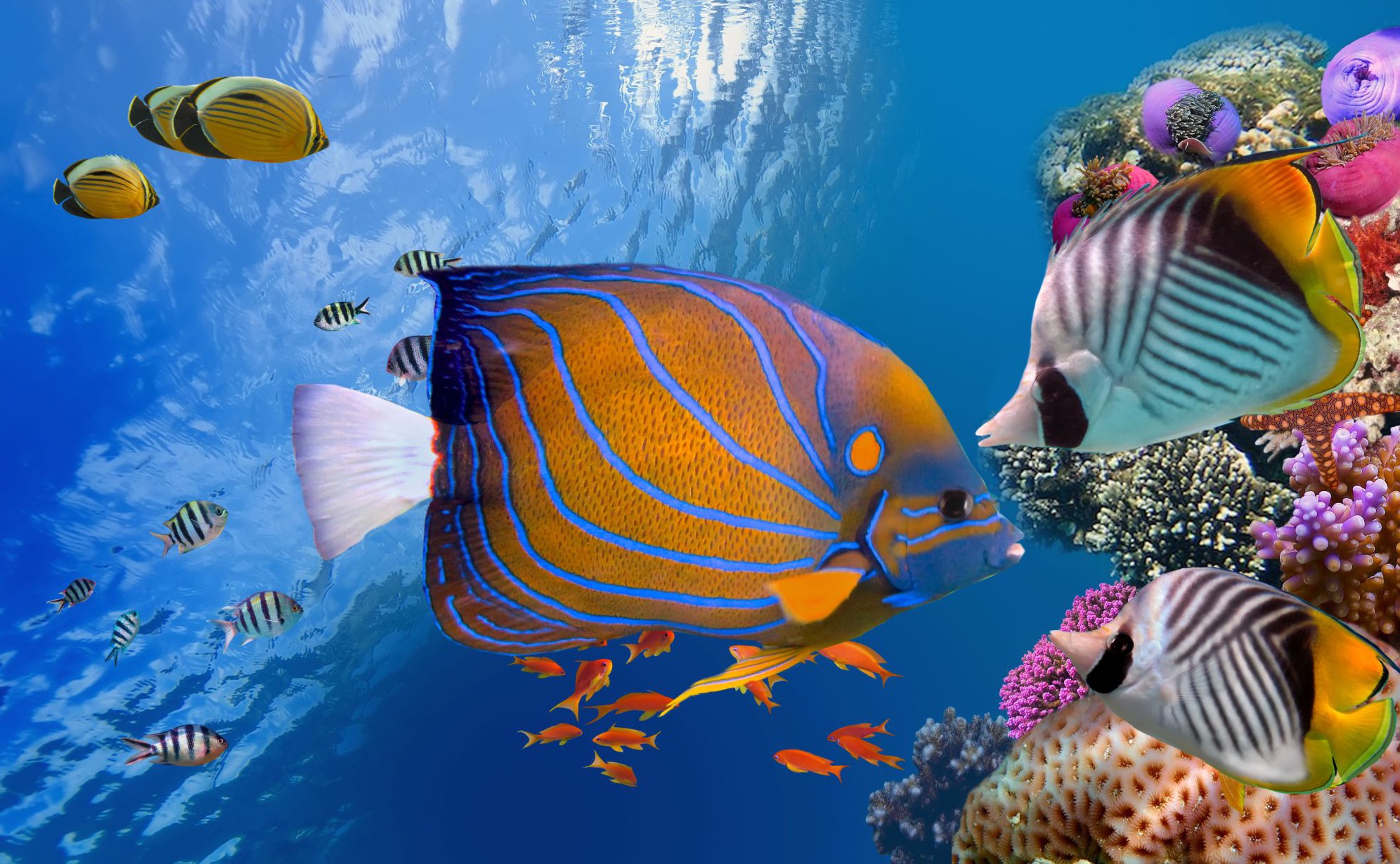 Wczasy w Egipcie: 7 dni w 5* hotelu z all inclusive za 2074 PLN. Wylot z Warszawy