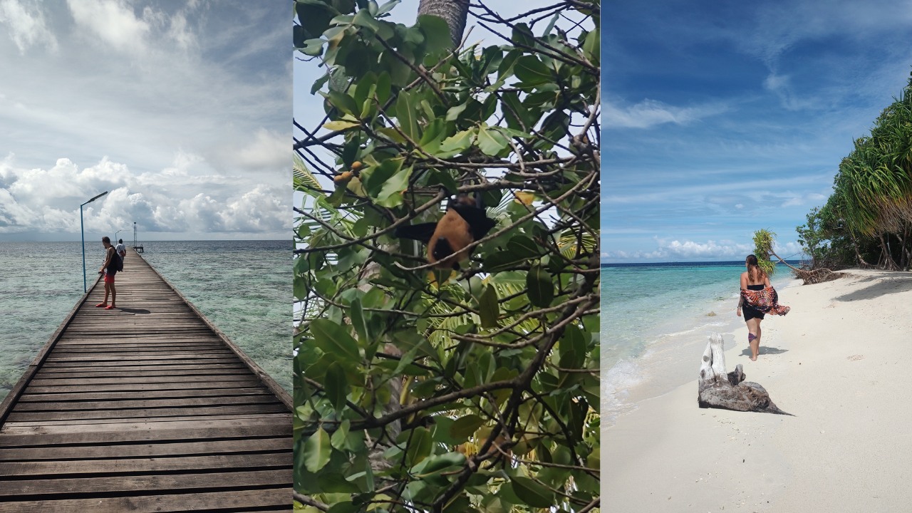 Hangnaameedhoo – jak odkryłam rajską wyspę na Malediwach, gdzie nie docierają tłumy turystów