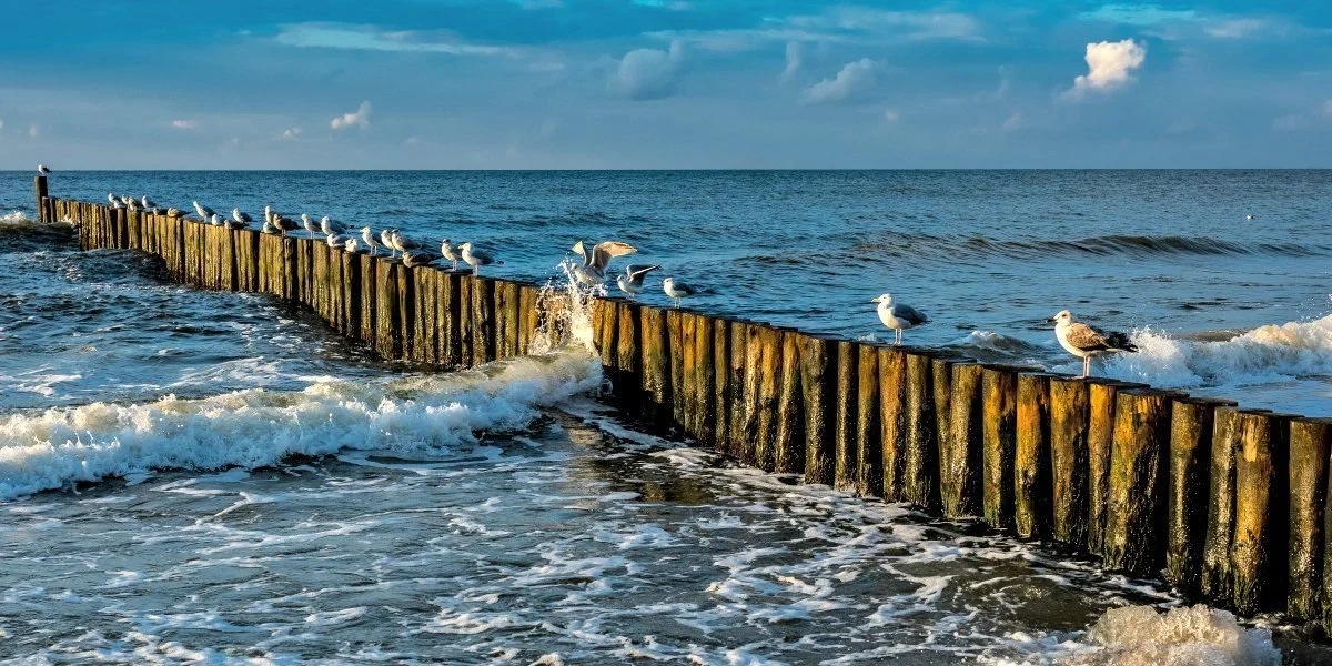 Ustronie Morskie: Alka Sun Resort z wyżywieniem od 349 PLN/pokój