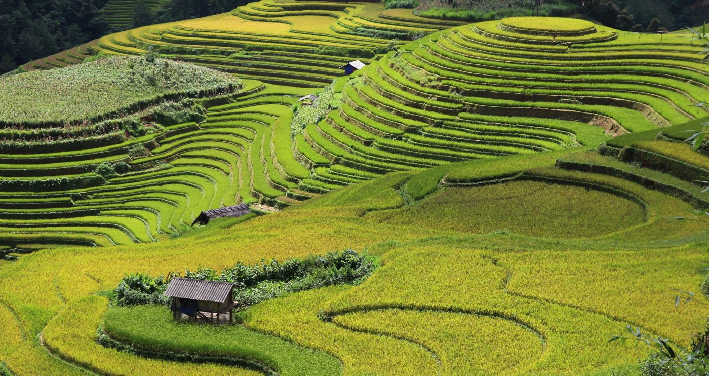 Miesięczna wycieczka do Wietnamu od 3670 PLN: Hanoi, Da Nang i Ho Chi Minh z 2 miast