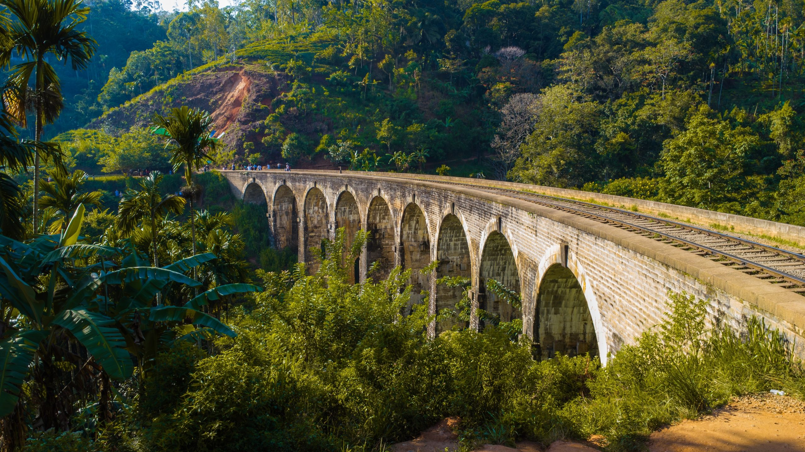 Objazdowa wycieczka po Sri Lance (7 dni z wyżywieniem) za 5499 PLN. Wylot z Warszawy