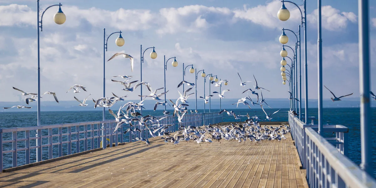 Półwysep Helski: Best Western Hotel Jurata z wyżywieniem od 399 PLN/pokój