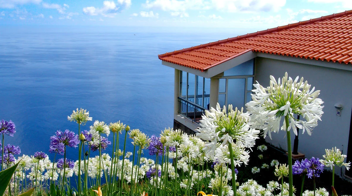 Last minute na Maderze: 7 dni w 4* hotelu z wyżywieniem za 1499 PLN! Wylot z Katowic