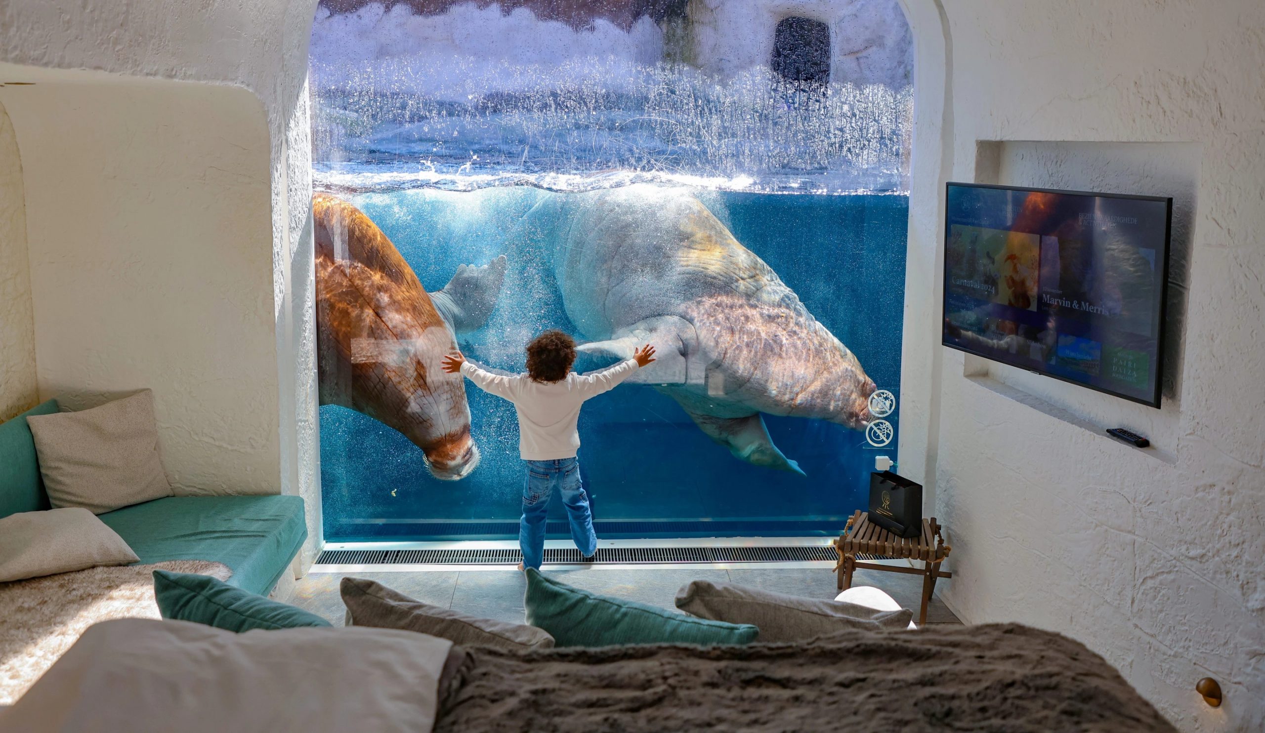 Wyjątkowa atrakcja w „najlepszym ZOO w Europie”. Nie musisz już jechać do Afryki, by budzić się wśród zwierząt