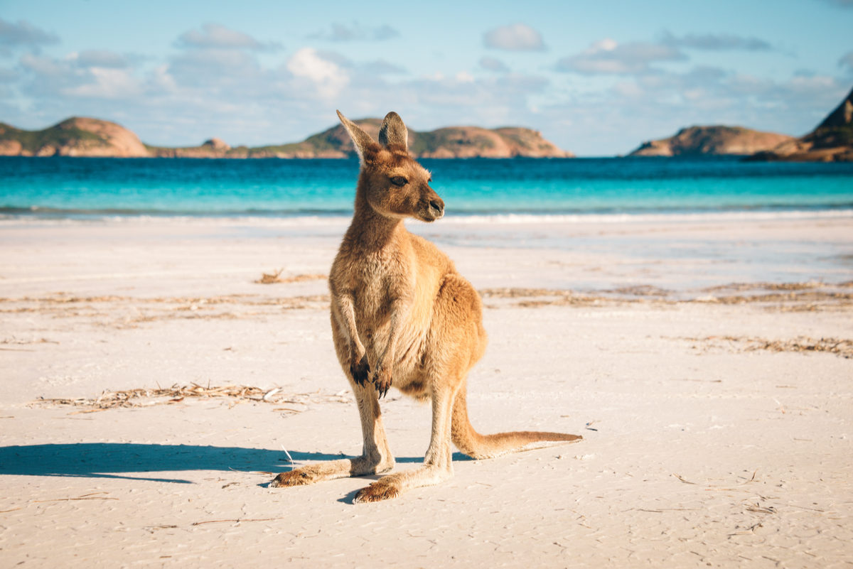Azja i Australia w sezonie! ☀️🌴 Zarezerwuj swoją podróż marzeń od 2269 PLN 💥😍