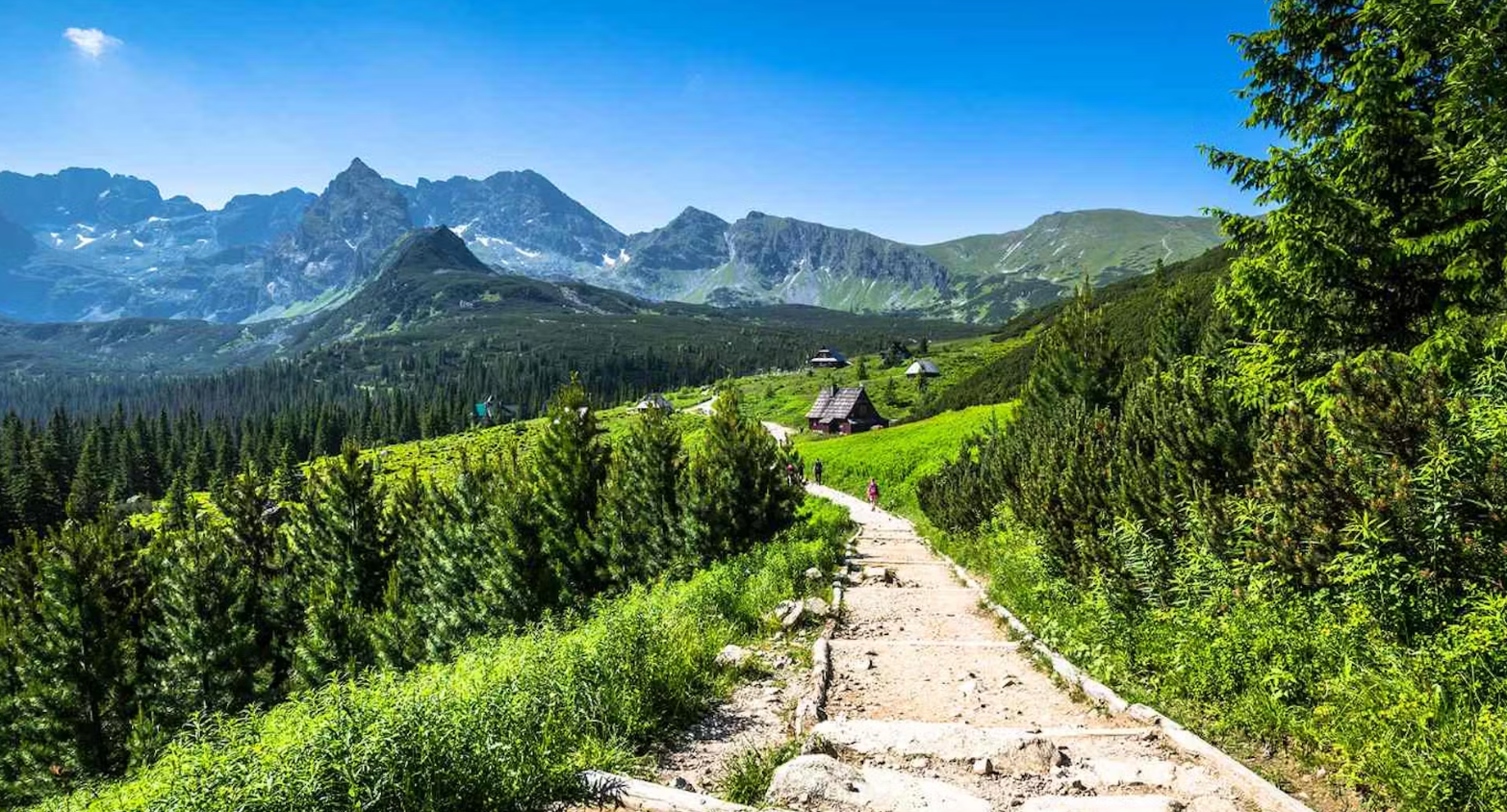Górski azyl na 1000 m n.p.m. 🏔️ Najwyżej położony hotel w Zakopanem 🌲 Na wakacje! 🏊‍♂️