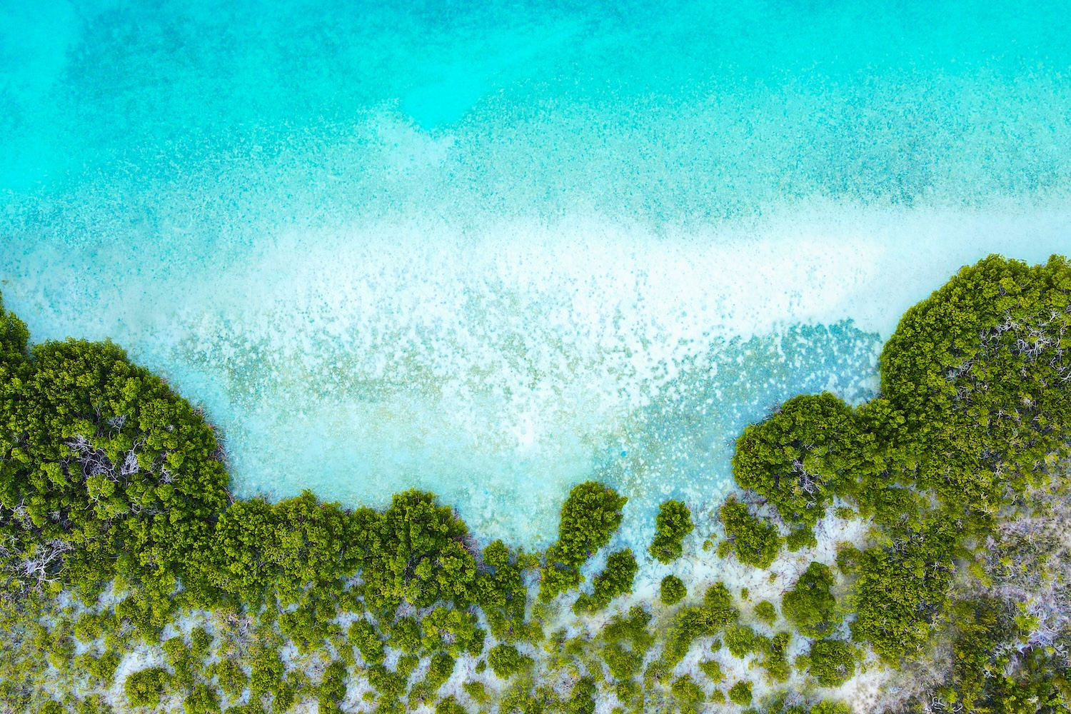 Mało znany karaibski skarb 💎🌺 Loty na Turks i Caicos w sezonie od 2339 PLN ✈️🏝️