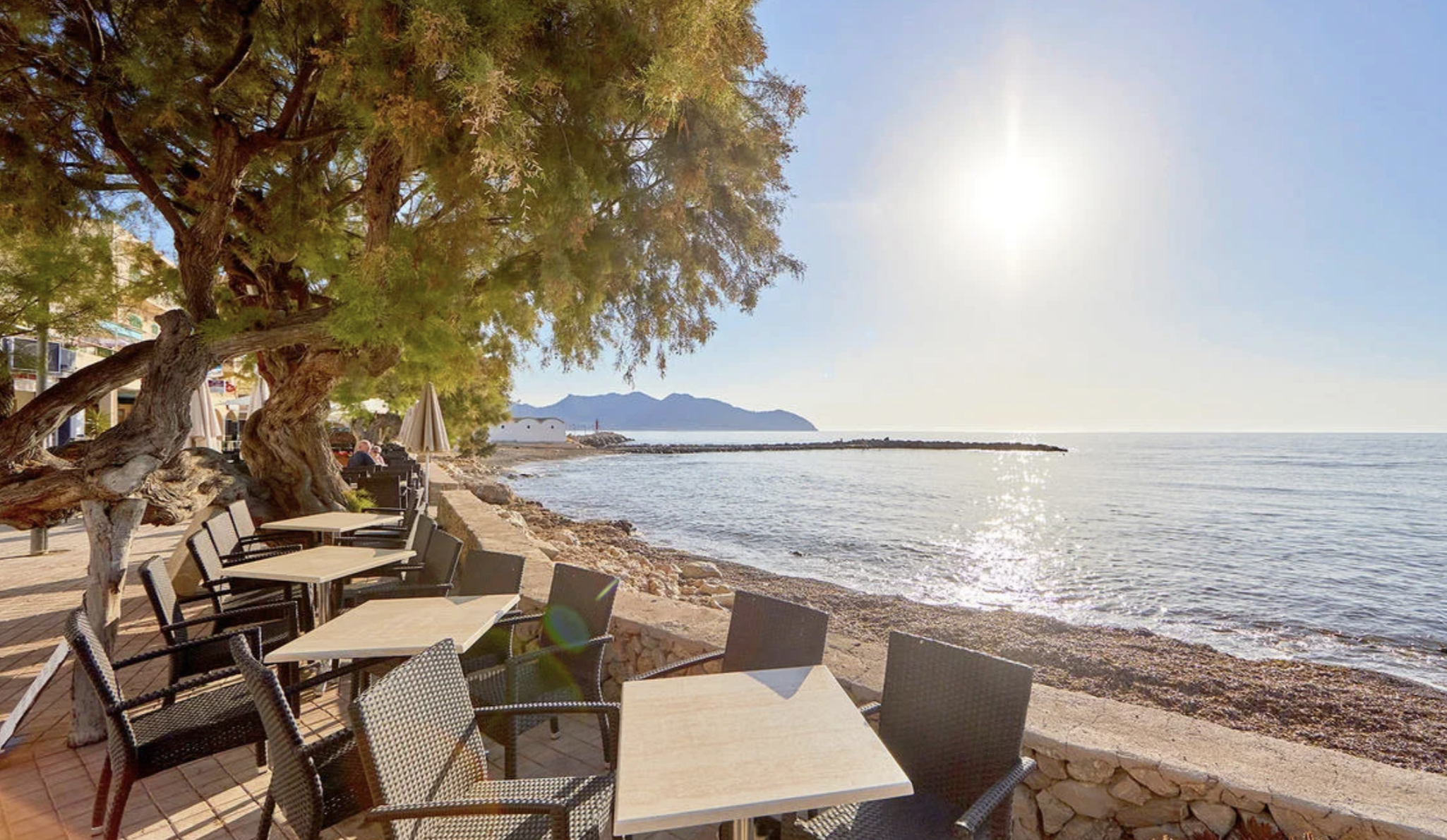 Tylko dla dorosłych 🤫🌴 Wczasy na Majorce w 4* hotelu z wyżywieniem i widokiem na morze 🌊 za 2799 PLN