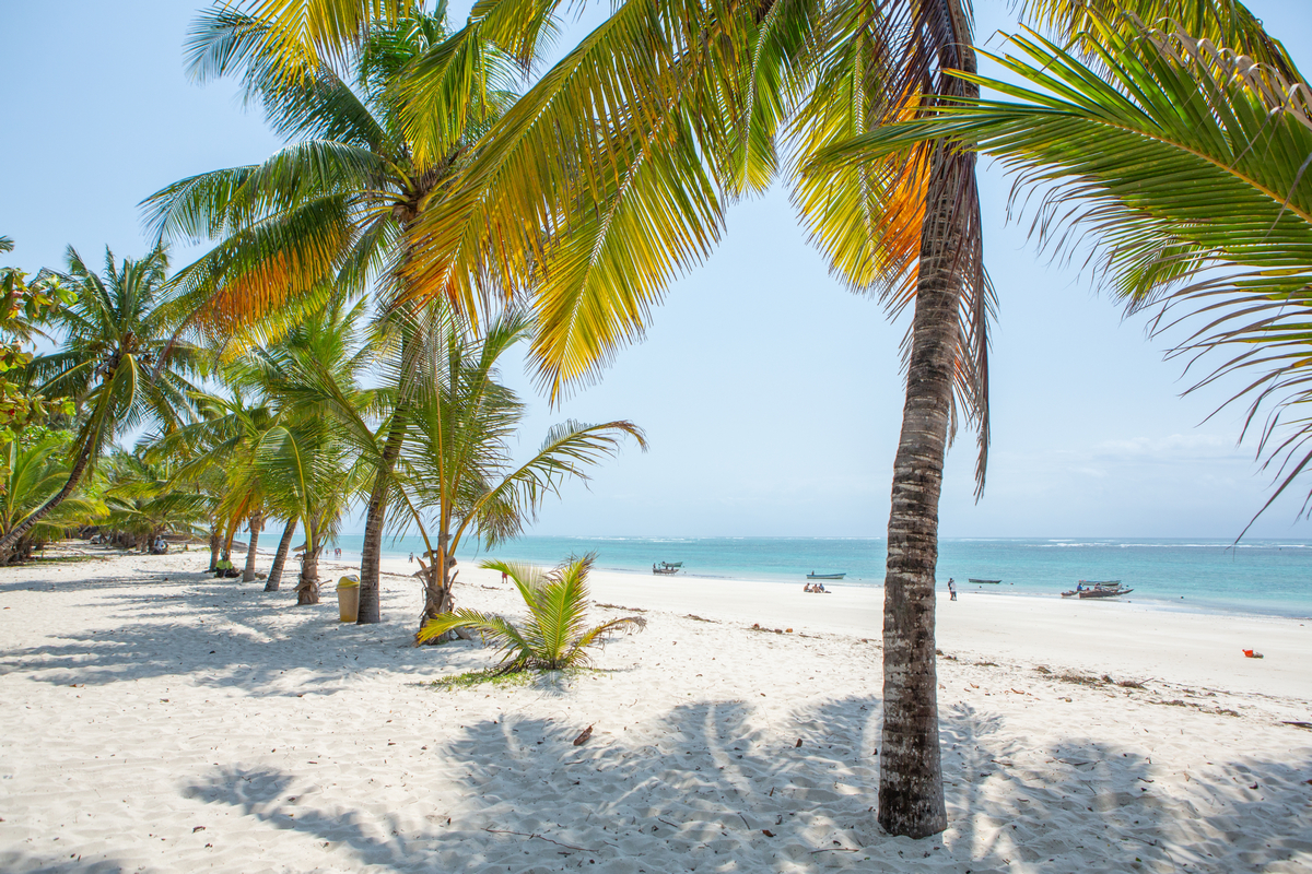 Tydzień w Kenii za 2259 PLN 😲👙🌊 Loty z bagażem i noclegi w apartamencie ✈️🧳🌴🏖️