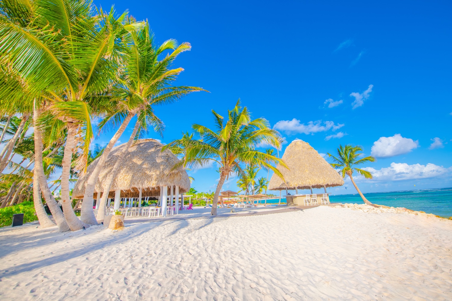 🚨Karaibskie ferie w raju 😍🌴 Dominikana na tydzień z hotelem przy plaży za 3476 PLN 🏝️