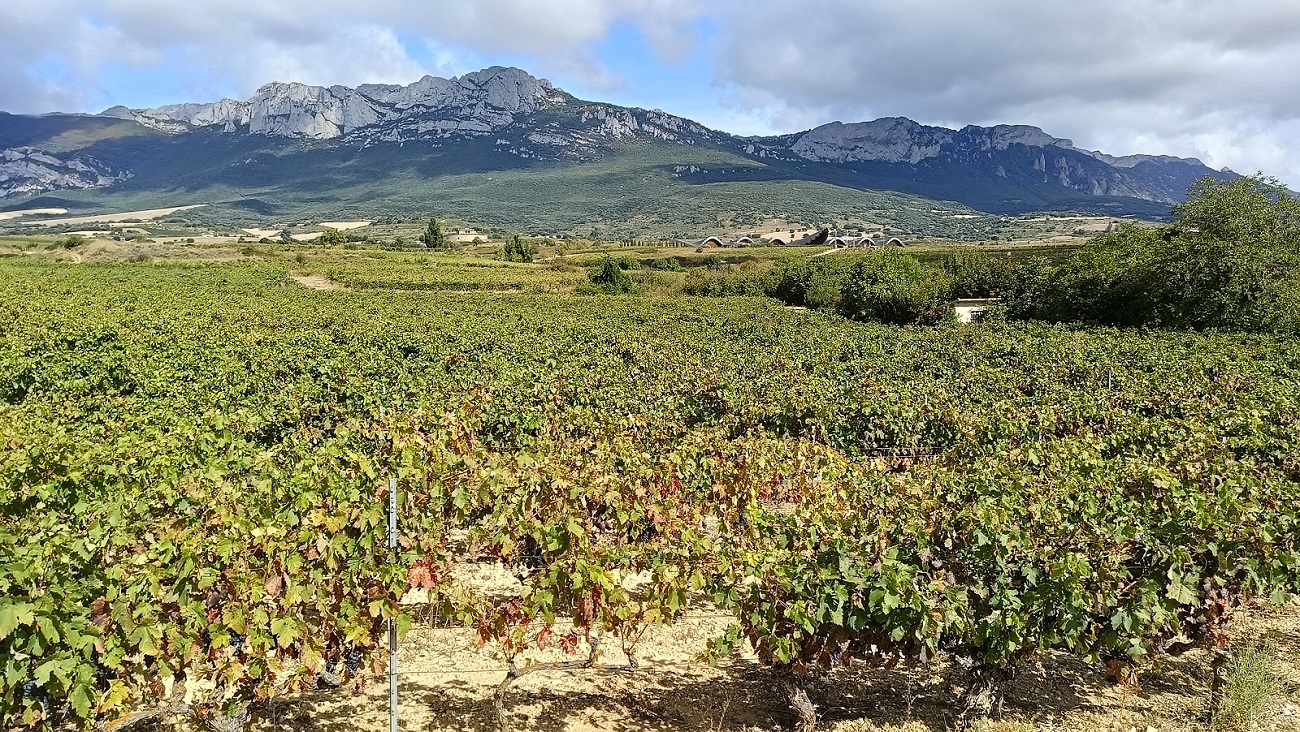 Aragonia, Nawarra i Kraj Basków – Hiszpania mniej znana