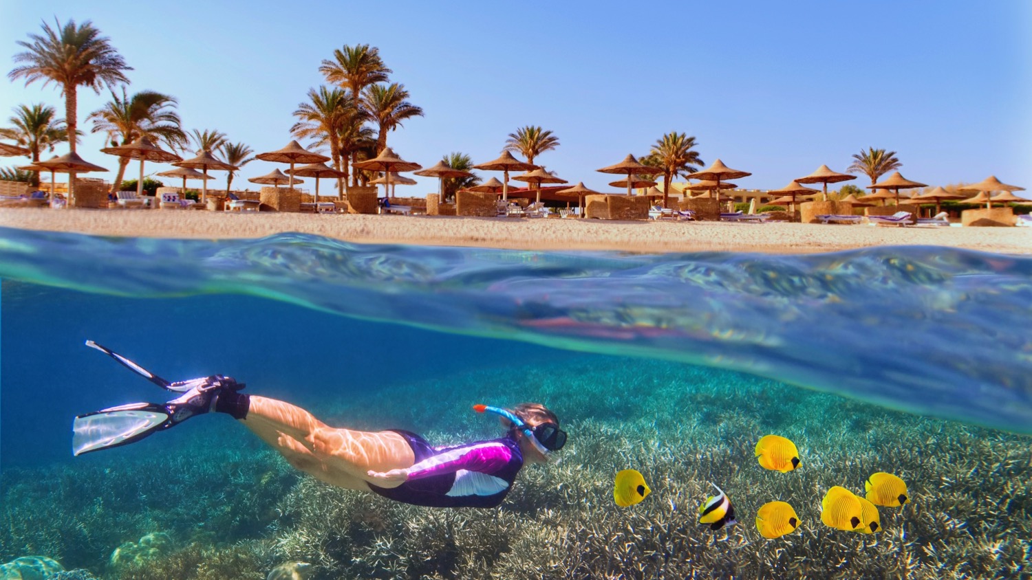 All inclusive w Hurghadzie z aquaparkiem 🌊😍 ⭐⭐⭐⭐ hotel za 2417 PLN